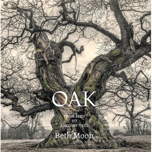 Oak: From Seed to Ancient Tree
