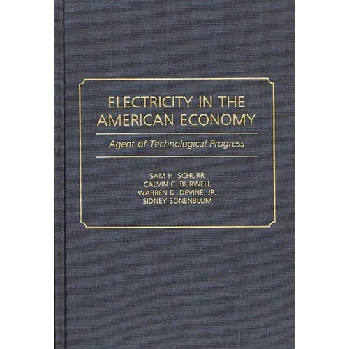 Electricity in the American Economy: Agent of Technological Progress