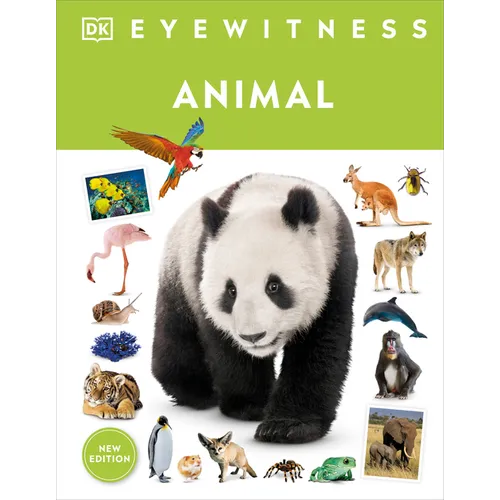 Eyewitness Animal - Hardcover
