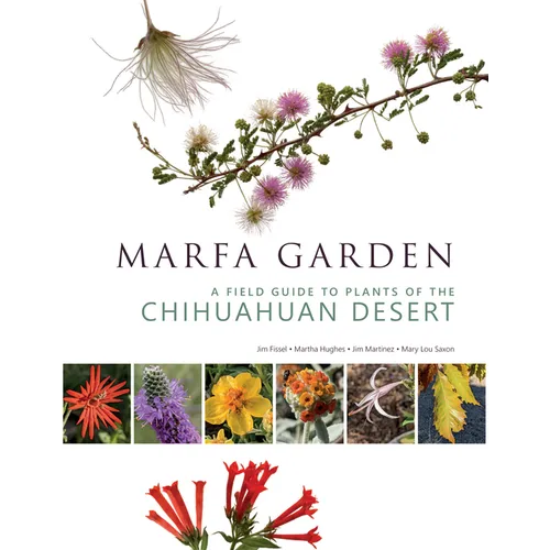 Marfa Garden: A Field Guide to Plants of the Chihuahuan Desert - Paperback