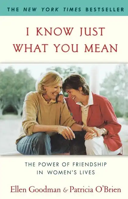 I Know Just What You Mean: The Power of Friendship in Women's Lives - Paperback