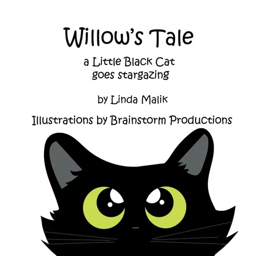 Willow's Tale: a Little Black Cat goes stargazing - Hardcover