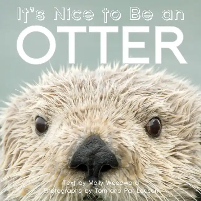 It's Nice to Be an Otter - Board Book