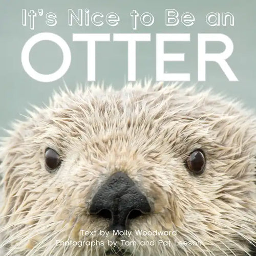 It's Nice to Be an Otter - Board Book