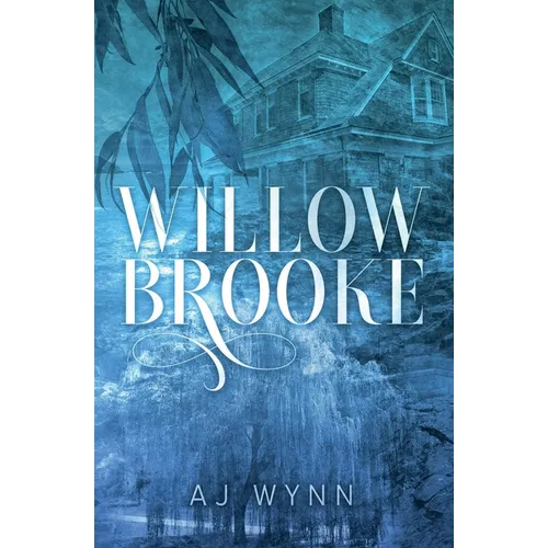 Willowbrooke: A slow burn mystery romance - Paperback