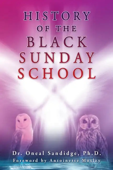 History of the Black Sunday School - Paperback