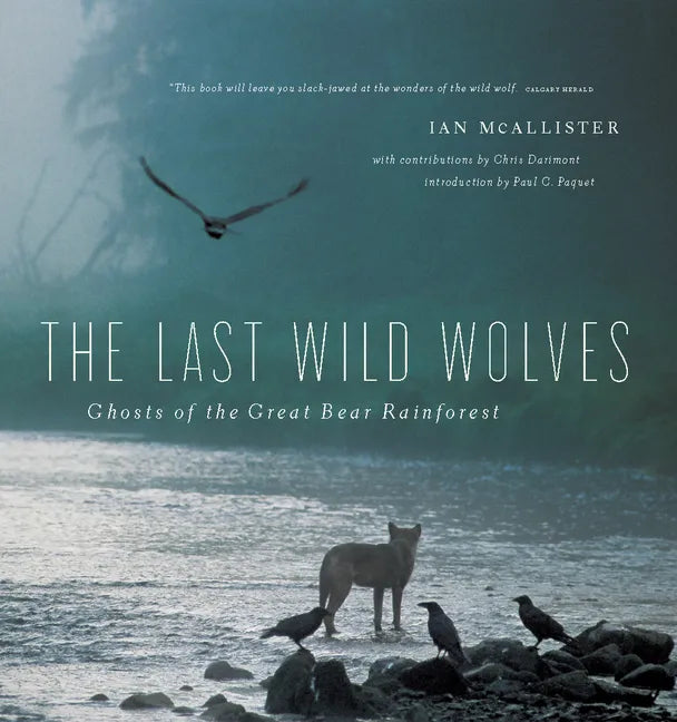 The Last Wild Wolves: Ghosts of the Rain Forest - Paperback