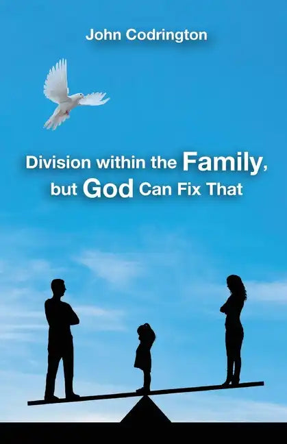 Division Within the Family, but God Can Fix That - Paperback