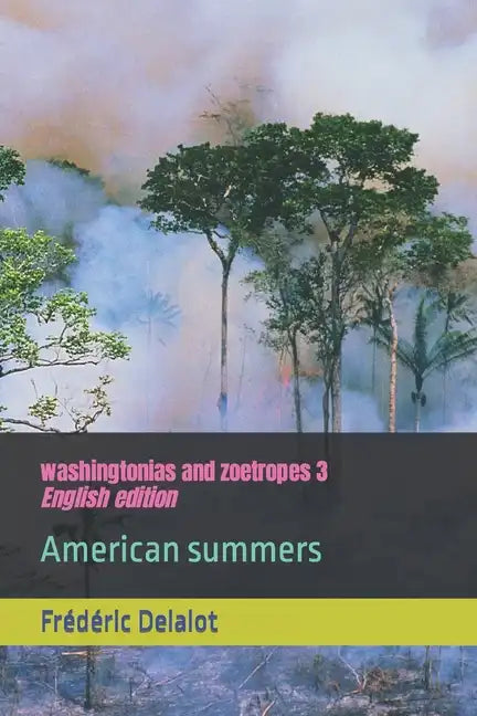 washingtonias and zoetropes 3: English edition: American summers - Paperback