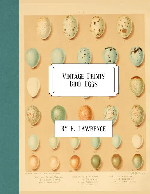 Vintage Prints: Bird Eggs - Paperback