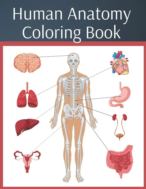 Human Anatomy Coloring Book: colouring workbook medical physiology study guide - Paperback