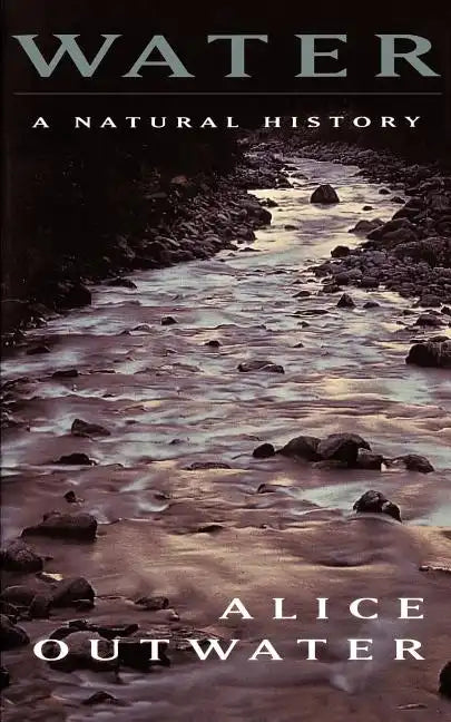 Water: A Natural History - Paperback