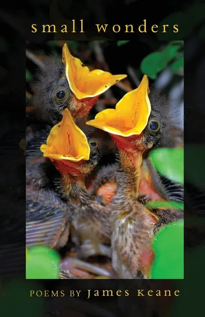 Small Wonders - Paperback