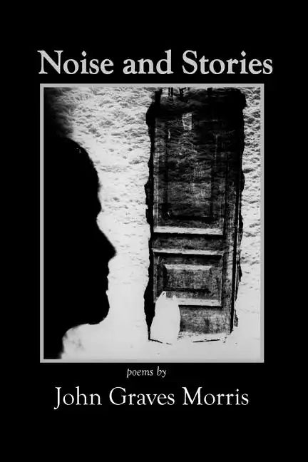 Noise and Stories - Paperback