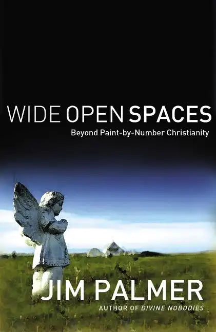 Wide Open Spaces: Beyond Paint-By-Number Christianity - Paperback