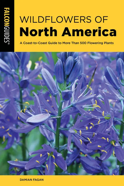 Wildflowers of North America - Paperback
