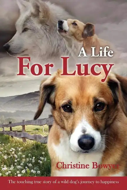 A Life For Lucy: The touching true story of a wild dog's journey to happiness. - Paperback