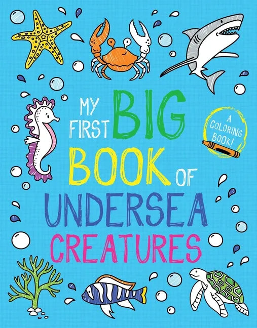 My First Big Book of Undersea Creatures - Paperback