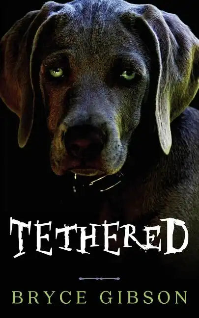 Tethered: County Line Horror #4 - Paperback