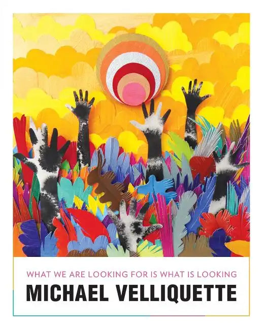 Michael Velliquette: What We Are Looking For is What is Looking - Paperback