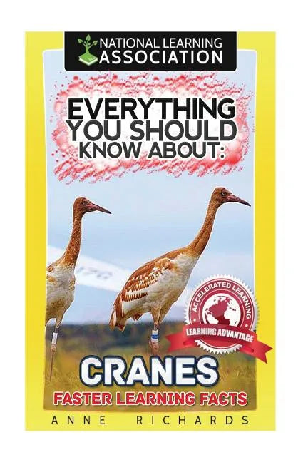 Everything You Should Know About: Cranes - Paperback