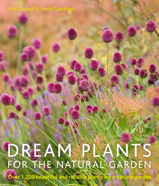 Dream Plants for the Natural Garden: Over 1,200 Beautiful and Reliable Plants for a Natural Garden - Paperback