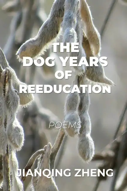 The Dog Years of Reeducation: Poems - Paperback