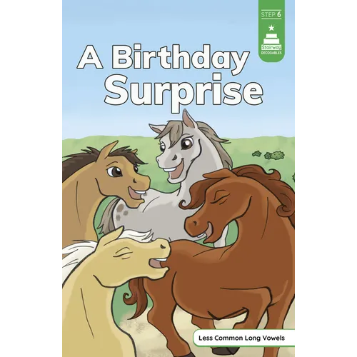 A Birthday Surprise - Hardcover