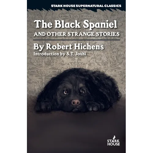 The Black Spaniel and Other Strange Stories - Paperback