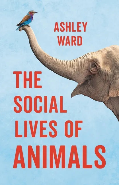 The Social Lives of Animals - Hardcover