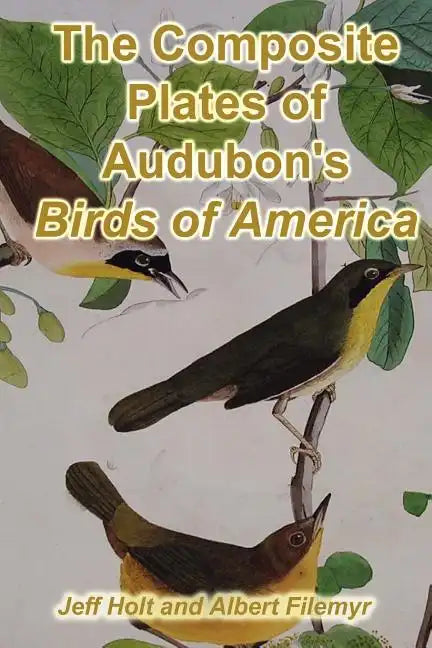 The Composite Plates of Audubon's Birds of America - Paperback