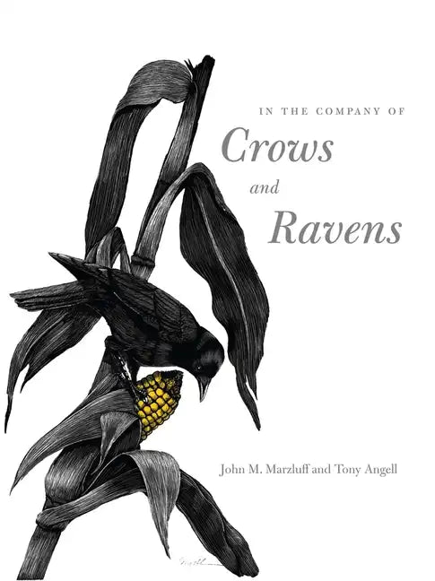 In the Company of Crows and Ravens - Paperback