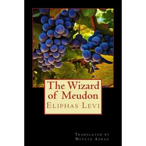 The Wizard of Meudon - Paperback