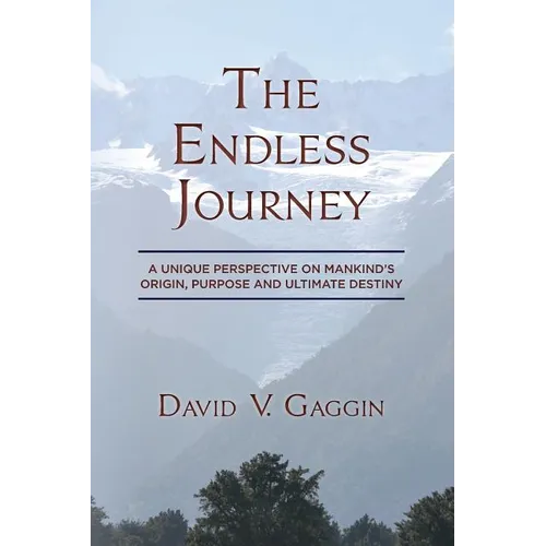 The Endless Journey: A Unique Perspective on Mankind's Origin, Purpose and Ultimate Destiny - Paperback
