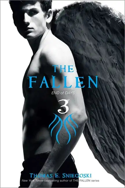 The Fallen 3: End of Days - Paperback