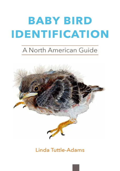Baby Bird Identification: A North American Guide - Paperback