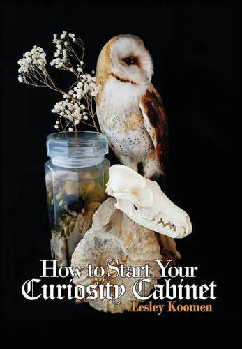 How to Start Your Curiosity Cabinet - Hardcover