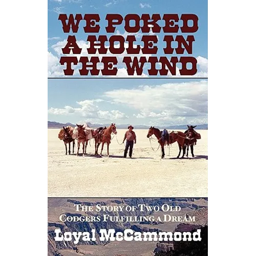 We Poked a Hole in the Wind - Paperback