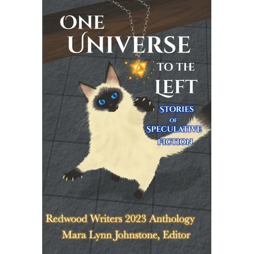 One Universe to the Left - Paperback