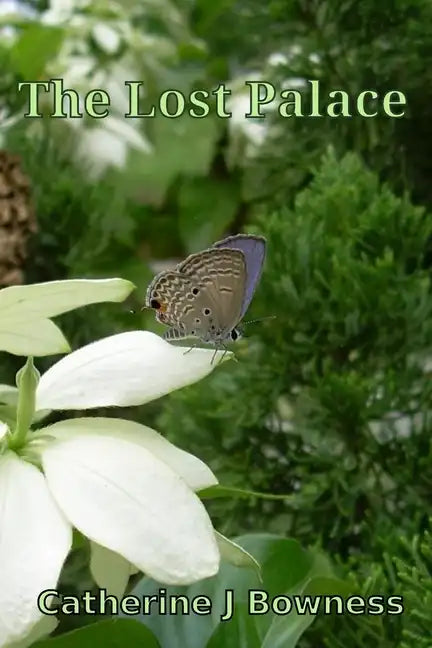 The Lost Palace - Paperback