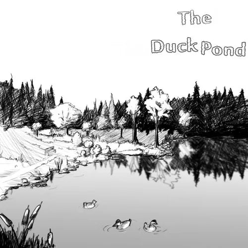 The Duck Pond: The Days With Dad Series - Paperback