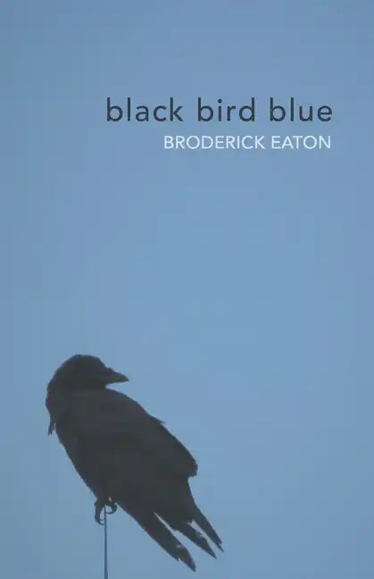 black bird blue - Paperback