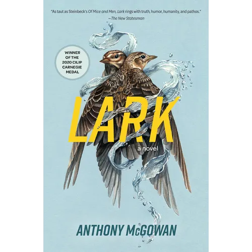 Lark: A Novel Volume 4 - Paperback