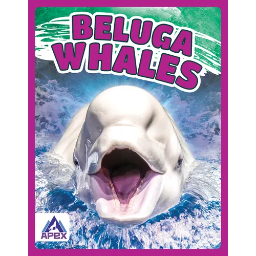 Beluga Whales - Paperback
