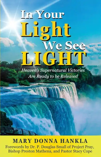 In Your Light We See LIGHT: Heaven's Supernatural Victories Are Ready To Be Released - Paperback