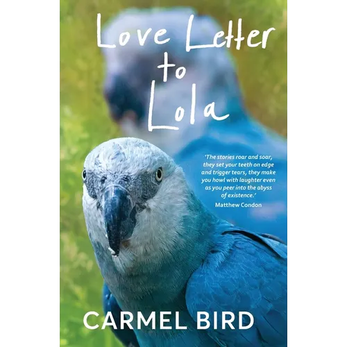 Love Letter to Lola - Paperback