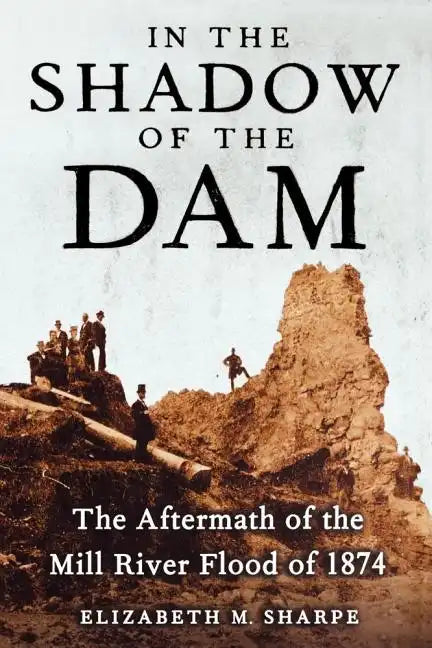 In the Shadow of the Dam: The Aftermath of the Mill River Flood of 1874 - Paperback