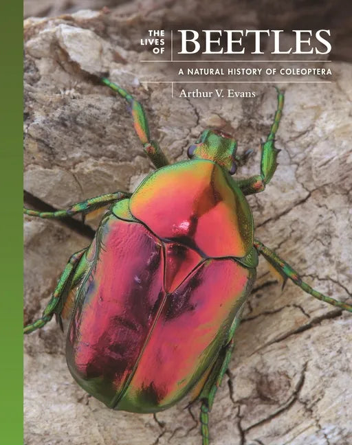 The Lives of Beetles: A Natural History of Coleoptera - Hardcover
