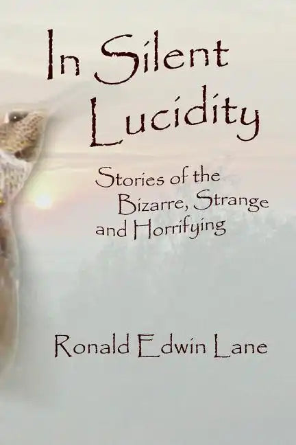 In Silent Lucidity - Paperback