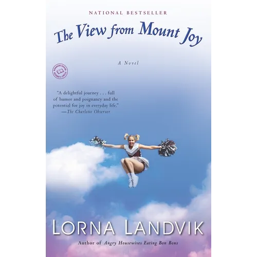 The View from Mount Joy - Paperback